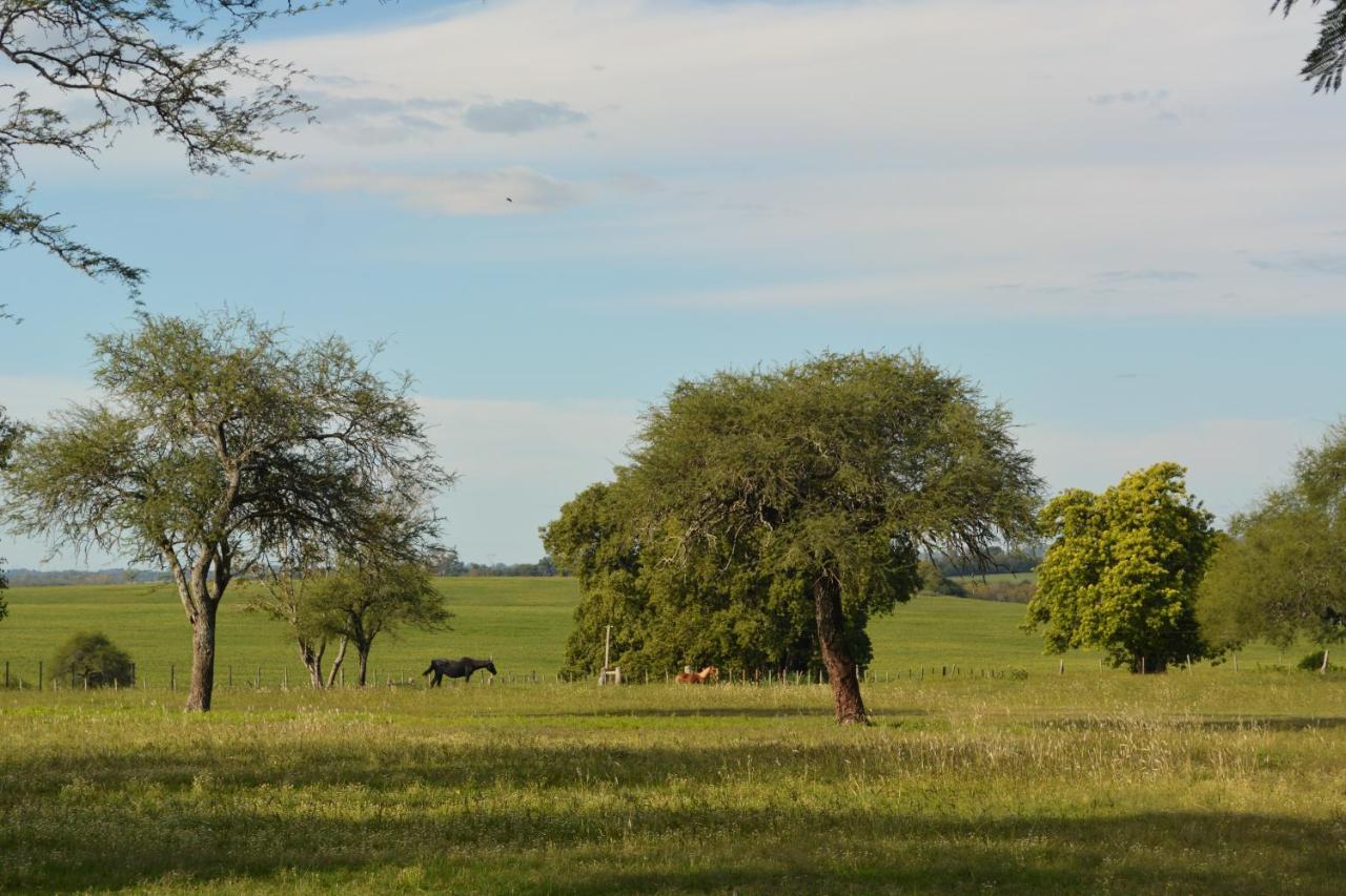 Estancia El Cangue Porvenir 外观 照片
