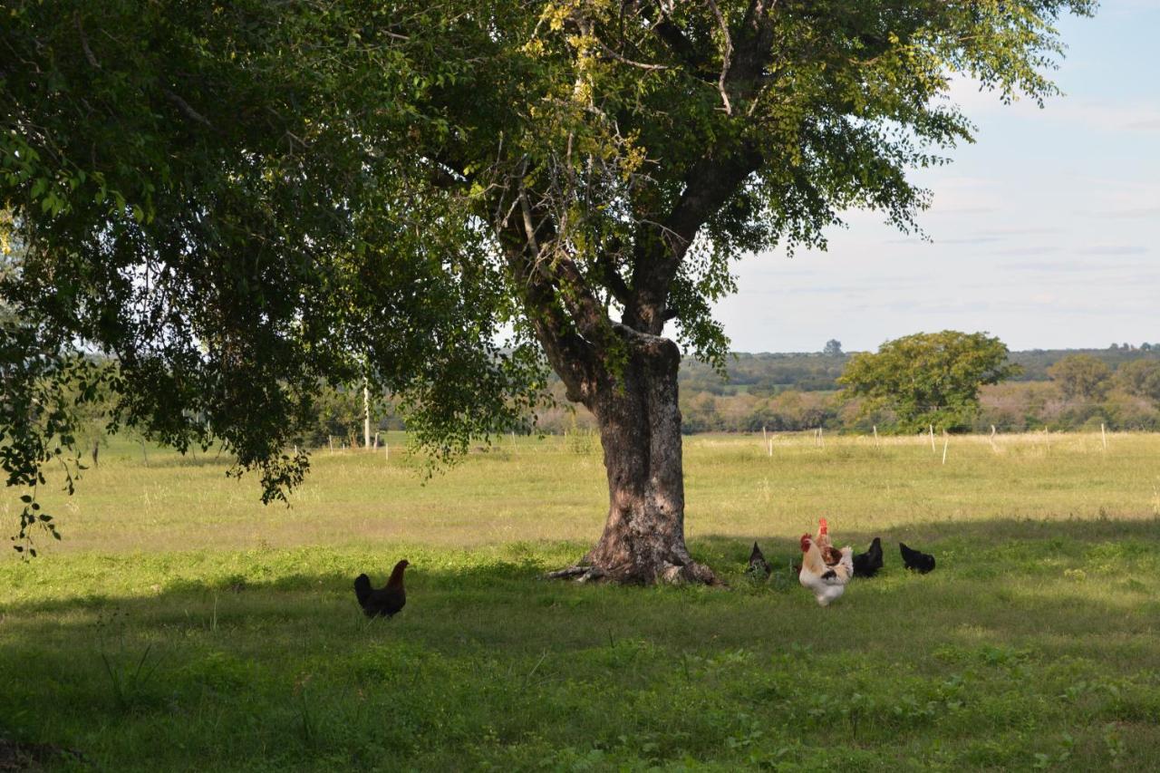 Estancia El Cangue Porvenir 外观 照片