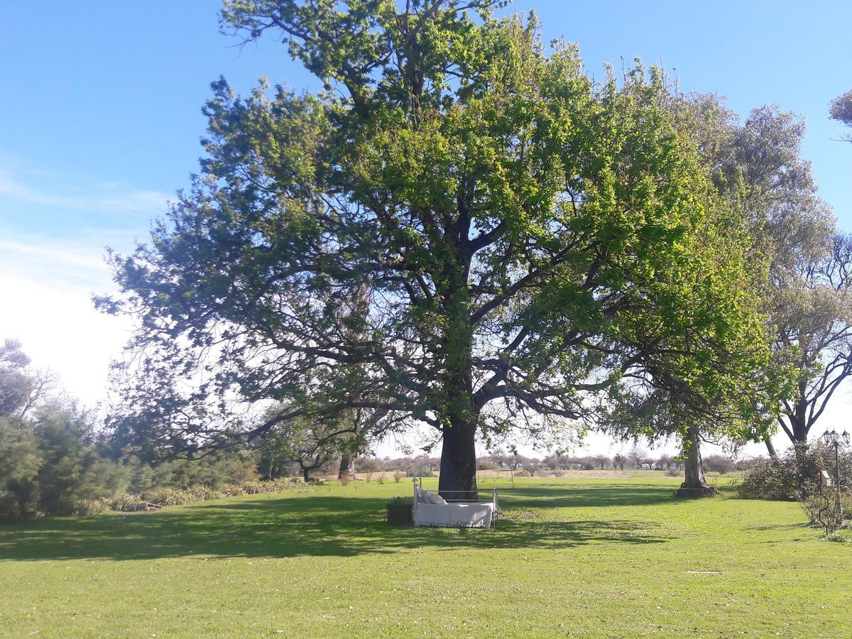 Estancia El Cangue Porvenir 外观 照片