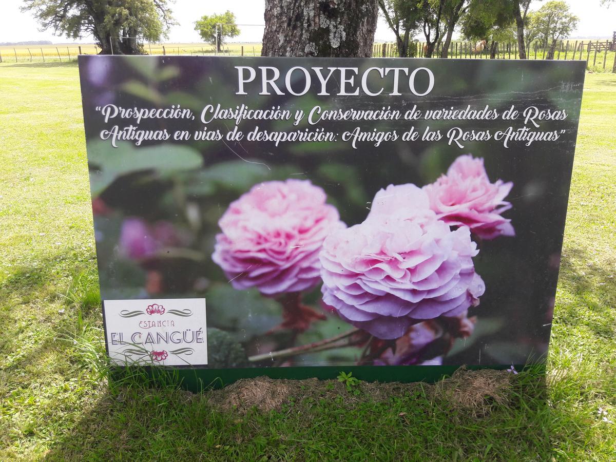 Estancia El Cangue Porvenir 外观 照片
