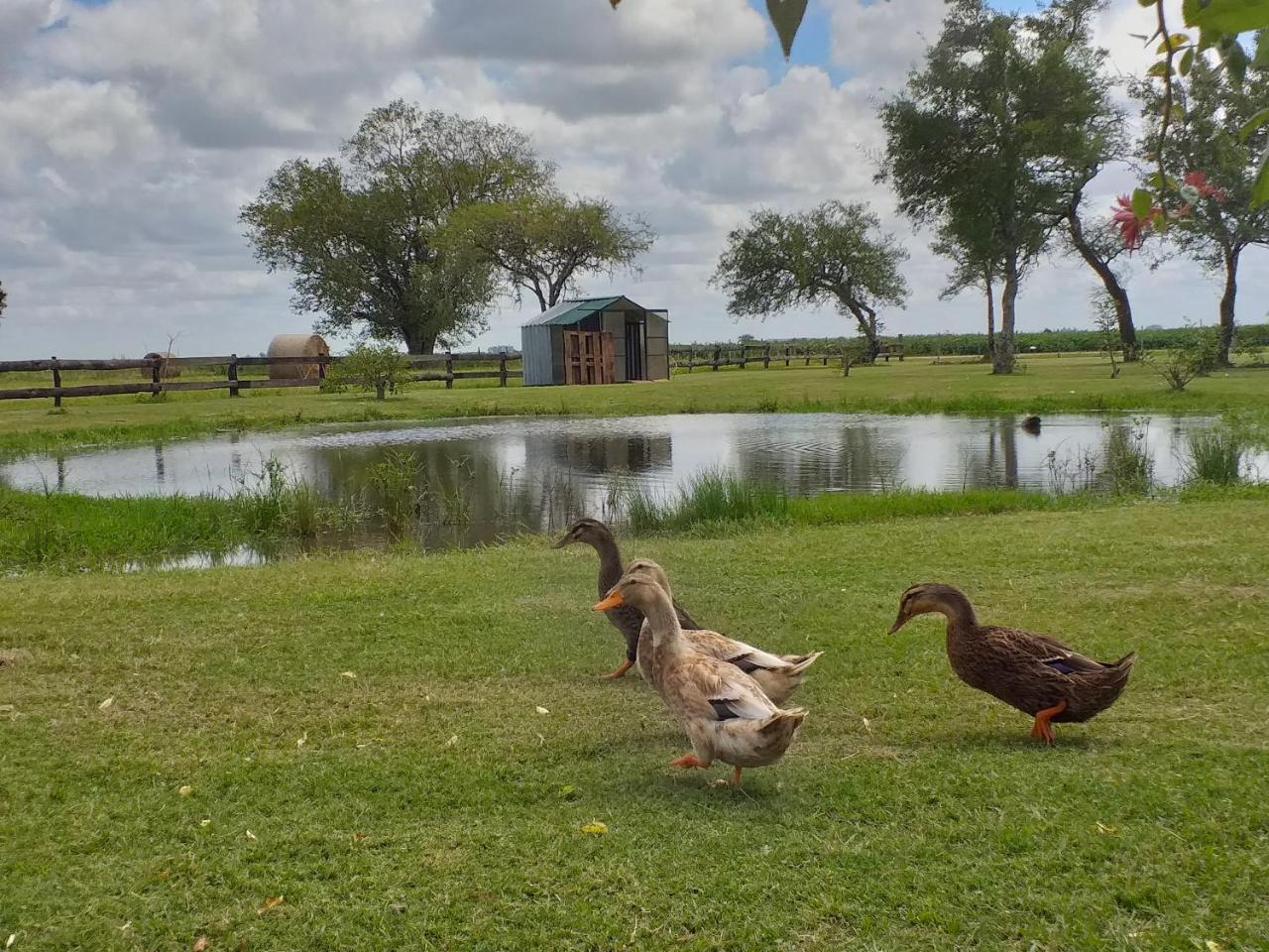 Estancia El Cangue Porvenir 外观 照片